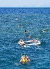 Australia - Great Barrier Reef (Queensland): snorkling in the coral (photo by Angel Hernandez)