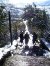 Azerbaijan - Lerik: women descending steps (photo by A.Kilroy)