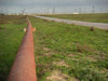 Azerbaijan - Gurgan - Absheron peninsula - Baki Sahari: oil pipeline and electricity cables from Pirallahi island - photo by Austin Kilroy