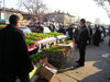Azerbaijan - Yasil Bazaar: sprouting wheat for Novruz, called semeni - Nowruz - Noruz (photo by F.MacLachlan)