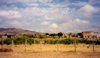 Azerbaijan - Agdam: fenced endless ruins - ghost city - empty city (photo by Miguel Torres)