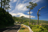 Azores / Aores - Pico -  - photo by A.Dnieprowsky