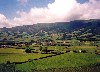 Azores / Aores - gua Retorta - photo by M.Durruti