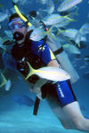 Bahamas - New Providence - Nassau: diver (photo by K.Osborn)