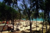 Barbados - St.Philip: beach at Sam Lord's Castle Resort - south-east coast of Barbados (photo by Michael Gunselman)