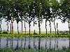 Belgium - Brugge / Bruges (Flanders / Vlaanderen - West-Vlaanderen province): outskirts - tree-lined canal - photo by D.Hicks