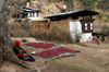 Bhutan - Paro dzongkhag - Drukgyel village - old woman, waiting for red chili peppers to dry - photo by A.Ferrari