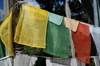 Bhutan - Paro dzongkhag - prayer flags, on the way to Taktshang Goemba - photo by A.Ferrari