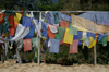 Bhutan - Paro dzongkhag - lines of prayer flags, on the way to Taktshang Goemba - photo by A.Ferrari