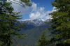 Bhutan - Paro dzongkhag - Himalaya peaks, seen from the way up to Taktshang Goemba - photo by A.Ferrari