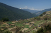 Bhutan - Houses and fields, in the Haa valley - photo by A.Ferrari