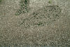 Okavango delta, North-West District, Botswana: a mass of birds in flight - photo by J.Banks