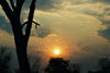 Chobe National Park, North-West District, Botswana: Botswanan sunset - photo by C.Engelbrecht