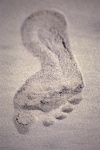 Maragoji, Alagoas, Brazil / Brasil: footprint in the sand / pegada na areia da praia - photo by F.Rigaud