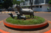 Brazil / Brasil - Dourados: capivaras / Capybara - Avenida Weimar Gonalves Torres - Hydrochoerus hydrochaeri (photo by Marta Alves)