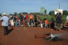 Brazil / Brasil - Dourados: indians block the road in land protest / Conflito: ocupao da estrada estadual que corta a aldeia (photo by Marta Alves)