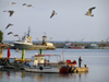 Nesebar: piers in the harbour (photo by J.Kaman)