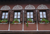 Bulgaria - Plovdiv: Balabanov house - windows (photo by J.Kaman)