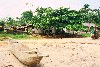 Cameroon - Kribi / KBI (Sud province): dugout canoe - Lobe Beach