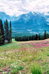 Canada / Kanada - Mount Whitehorn, Alberta: view towards Lake Louise - Banff National Park - Peak - Canadian Rockies - Rocky Mountains - photo by M.Torres