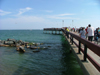 Canada / Kanada - Toronto (Ontario): promenade - Centre Island (photo by Robert Grove)