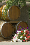 Okanagan Valley, BC, Canada: wine barrels - photo by D.Smith