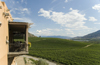 Okanagan Valley, BC, Canada: scenic view at the Burrowing Owl Vineyards - rolling hills - photo by D.Smith