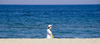 La Pineda, Vila-seca, Costa Dorada, Tarragona, Catalonia: a woman with a large hat walks along the beach - photo by B.Henry