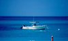 Cayman Islands - Gran Cayman - Seven Mile Beach - boat on West Bay - photo by F.Rigaud