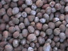 Bekamba: karite nuts (Butyrospermum parkii) to make karite butter (Shea Nut) (photos by Silvia Montevecchi)