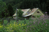 Puesco, Araucana Region, Chile: wildflowers and ranch house - Lake District of Chile - photo by C.Lovell