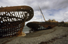 Estancia San Gregrio, Magallanes Region, Chile: the rusting ship hulk of the Ambassador, on the beach at the ghost ranch - Patagonia - photo by C.Lovell