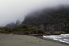 Aisn region, Chile: mist on playa Toninas (Dolphin beach), west of La Junta  green hills covered in the temperate rain forest of northern Patagonia - photo by C.Lovell