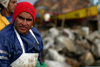 Chile - Huasco (Atacama region): fisherman - pescador - photo by N.Cabana