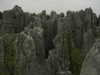 Kunming, Yunnan Province, China: Shilin - forest of limestone spikes - karstic formation similar to the Tsingy de Bemaraha in Madagascar - photo by M.Samper