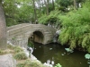 China - Suzhou / Su-chou /  Su-chow / Suchow / Soochow (province of Jiangsu): Classical gardens of Suzhou - Unesco World Heritage - bridge at Humble Administrator's Garden (photo by  G.Frysinger)