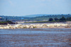 Kinshasa, Democratic Republic of the Congo: Livingstone Falls / Chutes du Djou -  rapids on the lower course of the Congo River, border between the Congos at Monkey Island (Ile des Singes) - photo by M.Torres