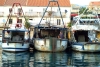 Croatia - Hvar Island / Otok Hvar (Splitsko-Dalmatinska Zupanija): fishing fleet - photo by J.Banks