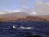 Crozet islands - Possession island: Arete des Djinns and Pic du Mascarin (photo by Francis Lynch)