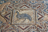 Kourion - Limassol district, Cyprus: bird - mosaic in the baths of the Kourion Ancient City - complex of Eustolios - photo by A.Ferrari