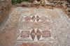 Paphos, Cyprus: outdoor Roman mosaic - geometrical motives - photo by A.Ferrari