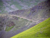 Russia - Dagestan - Tsumada rayon - Bogosskiy ridge: herd (photo by G.Khalilullaev)