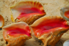 Punta Cana, Dominican Republic: pink conch shells - Arena Gorda Beach - photo by M.Torres