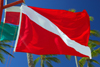 Punta Cana, Dominican Republic: diver down flag - Arena Gorda Beach - photo by M.Torres