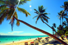 Punta Cana, Dominican Republic: coconut trees and the midday sun - Arena Gorda Beach - photo by M.Torres