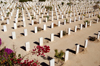 Egypt - El Alamein:  WW2 commonwealth war cemetery - tomb stones - military graveyard - photo by  J.Wreford