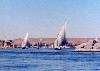Egypt - Aswan: feluccas sailing on the Nile (photo by Miguel Torres)