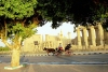 Egypt - Luxor / El Uqsor / LXR:  caleche by the temple (photo by J.Kaman)