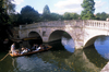 England (UK) - Cambridge (Cambridgeshire): Cambridge: punting on the river Cam - bridge - photo by A.Sen