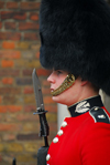 London: guard at St James palace - Sentry of the Scots Guards - photo by Miguel Torres